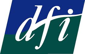 Disability Federation of Ireland Logo