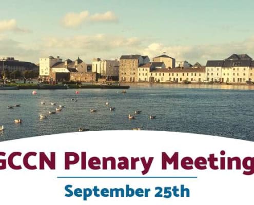 GCCN Plenary Meeting September 2019
